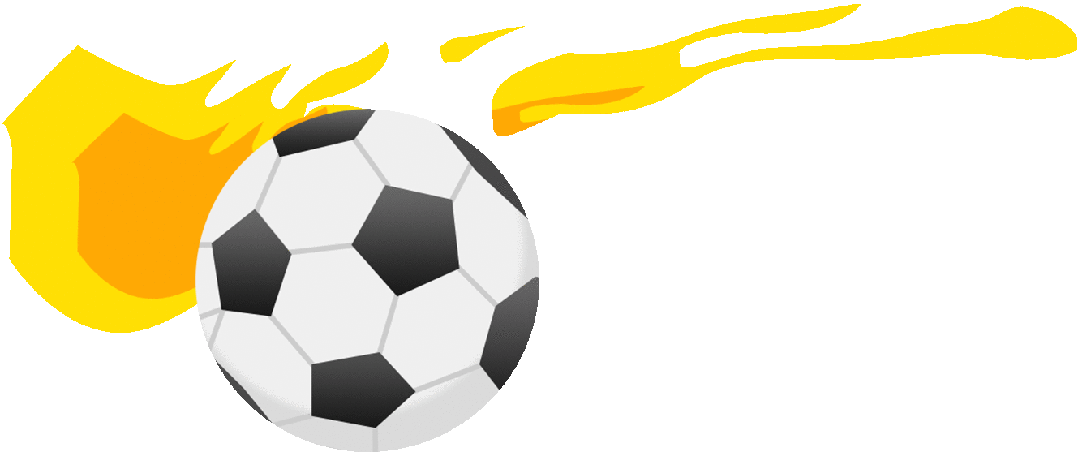 明年投用！南京首个专业足球场要来了